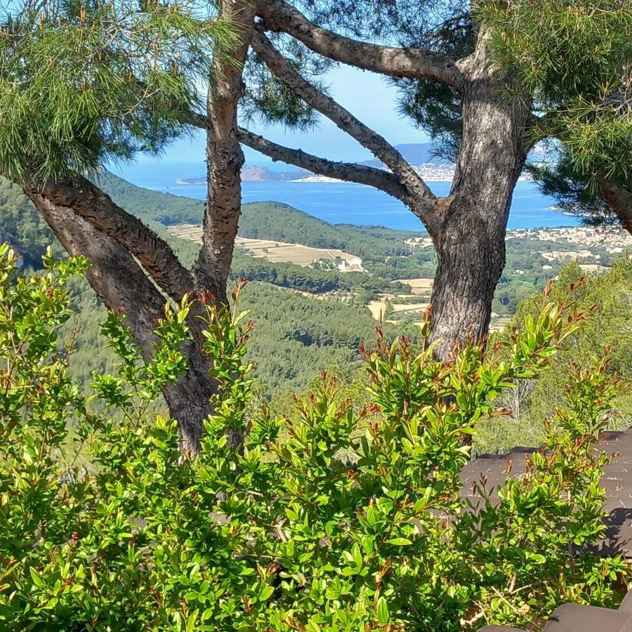 La Villa Entre Terre Et Mer Saint-Côme Extérieur photo